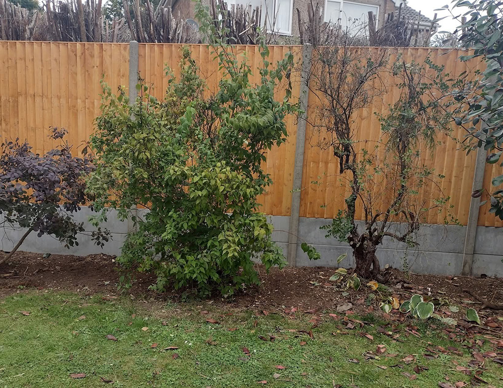 Fencing Service Walkington